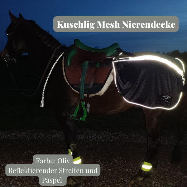 Nierendecke Stay Dry Mesh