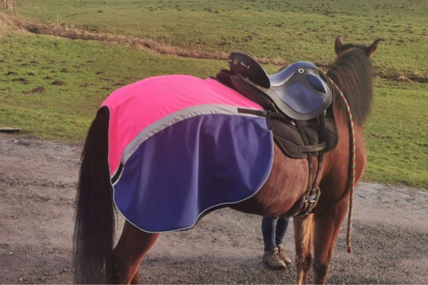 Reflexstreifen und/oder Paspel für Nierendecken -  Heval Equestrian