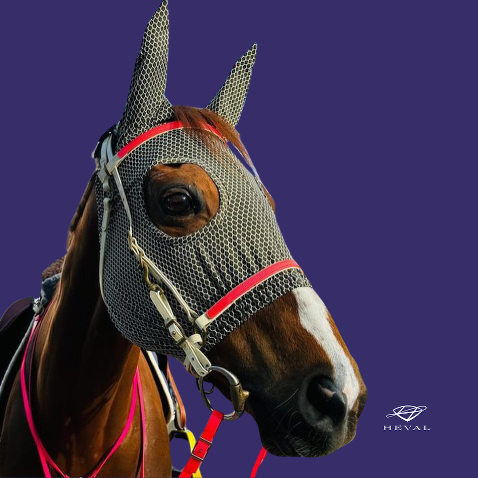 "Fly Away" Muster Rennmaske  verschiedene Farben