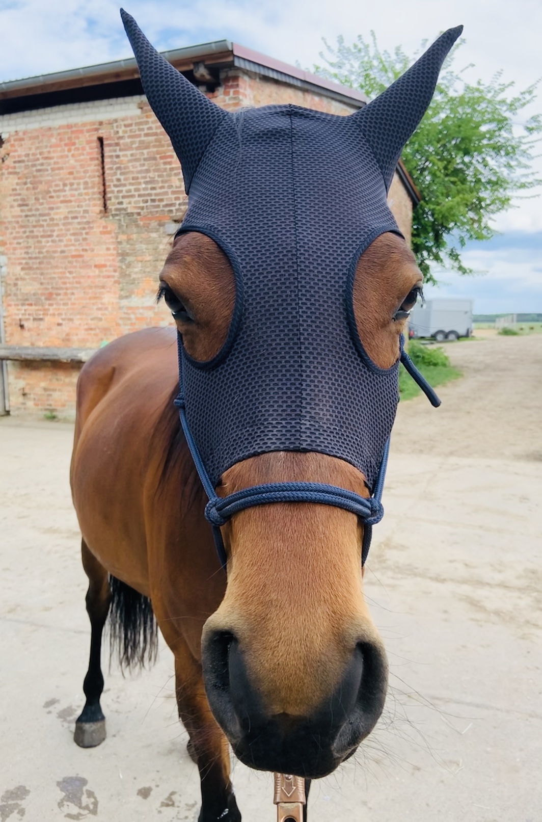 A+ Rennmaske Meshy Feshy - die atmungsaktivste Maske auf dem Markt!