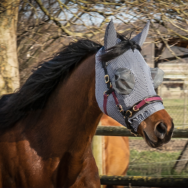 Fliegenmaske Für Pferde Mit UV Schutz - Leichte Fliegenhaube Mit Ohrenschutz