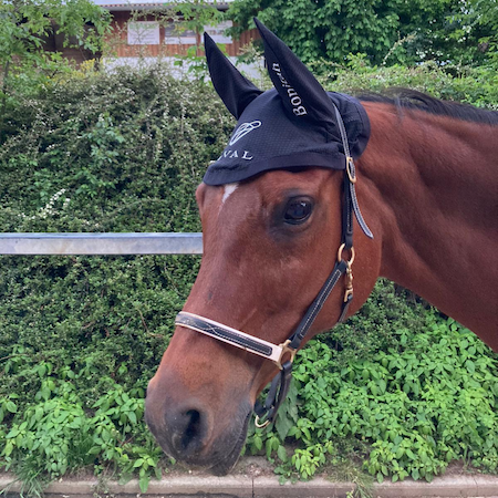 Fliegenhaube "Meshy Feshy Pure Elegance" mit Namen auf dem Ohr