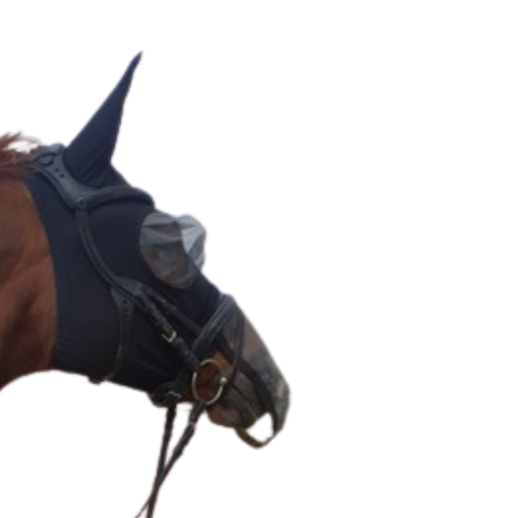 NOFLYNOCRY Fliegenmaske Meshy Feshy mit Augen- und Nasennetz  mit 75% UV Blocker