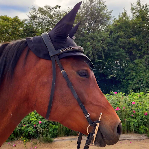 Fliegenhaube "Meshy Feshy Fliegenschreck"