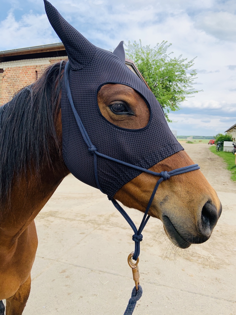 A+ Rennmaske Meshy Feshy - die atmungsaktivste Maske auf dem Markt!