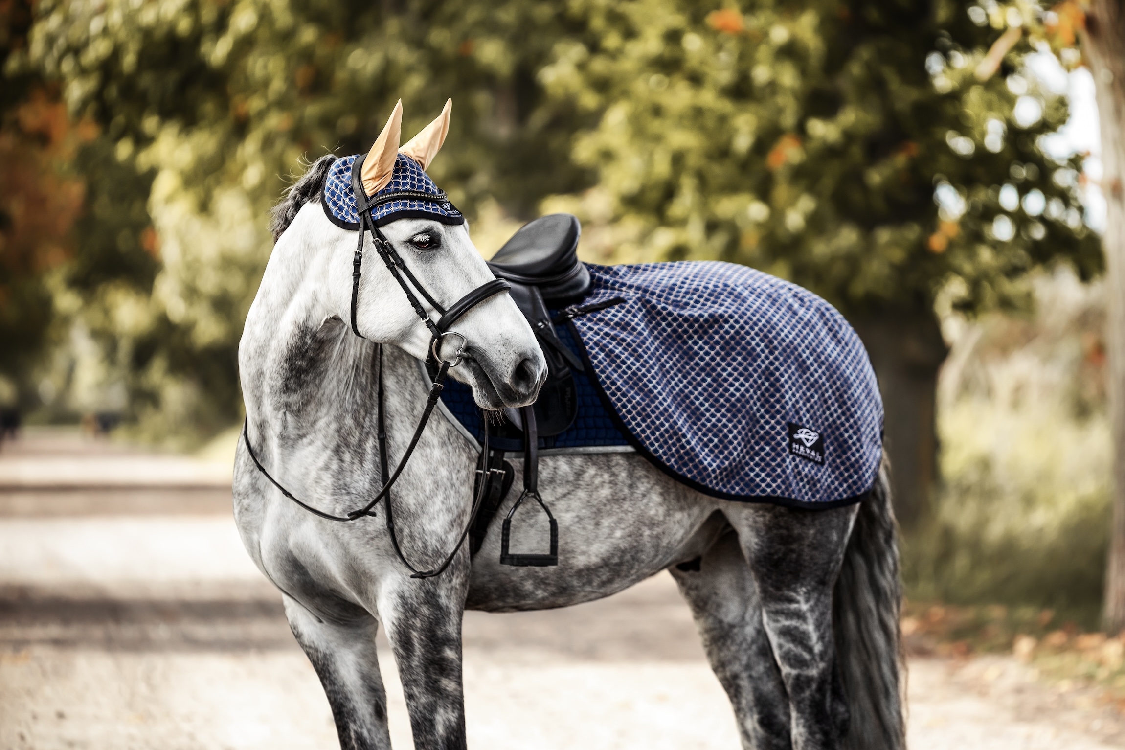 Nierendecke Blue Gold Goddess 