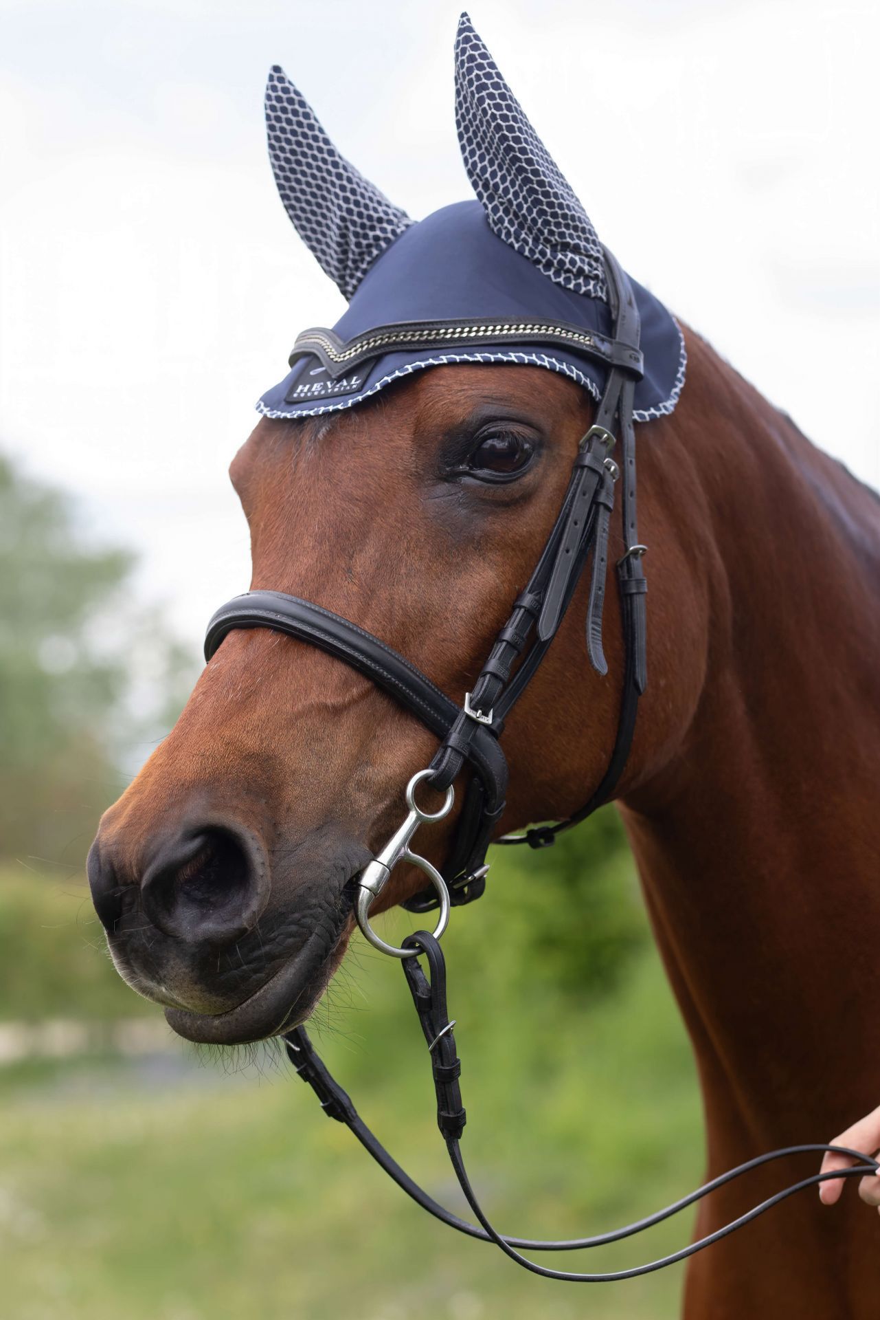 Fliegenhaube "Airy Princess" New Navy